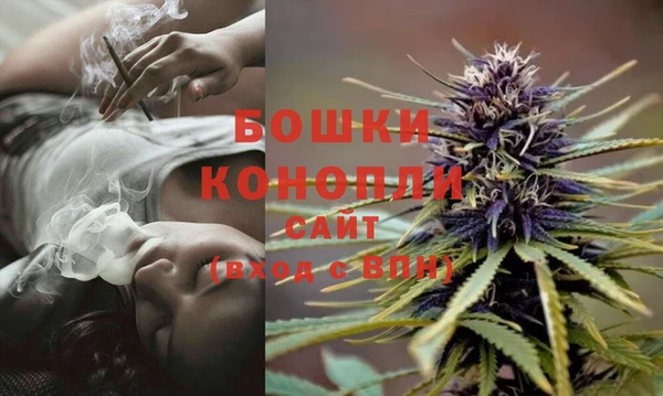 трава Армянск