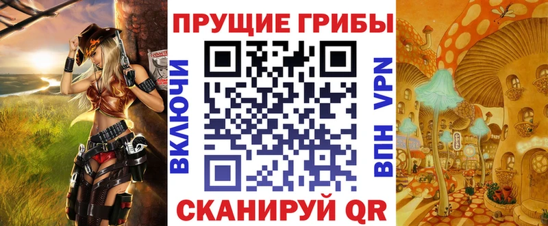 Купить закладки  Вязники  Псилоцибиновые грибы Psilocybe 
