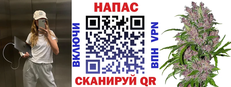 Канабис OG Kush  Купить  Вязники 